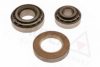 VOLVO 273160 Wheel Bearing Kit